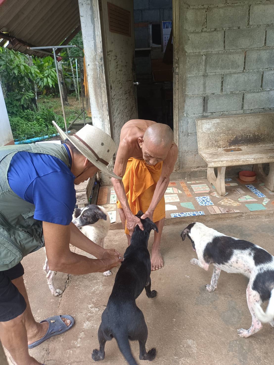 องค์การบริหารส่วนตำบลหนองบัว มีการขับเคลื่อนกิจกรรมส่งเสริมสุขภาพการป้องกันและควบคุมโรคติดต่อและไม่ติดต่อ รวมถึงการเตรียมความพร้อมการรับมือโรคติดต่อโรคอุบัติใหม่ให้แก่ประชาชน โครงการสัตว์ปลอดโรคคนปลอดภัยฯ